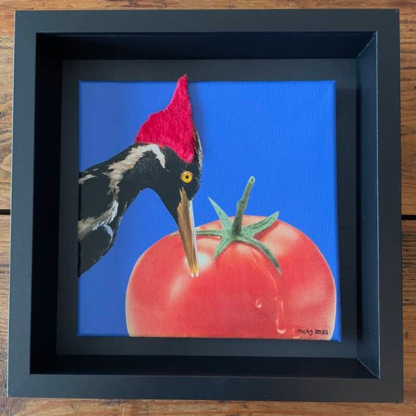 Tommy tomato pecker 20x20x1 cm incl. lijst 25x25x6 cm