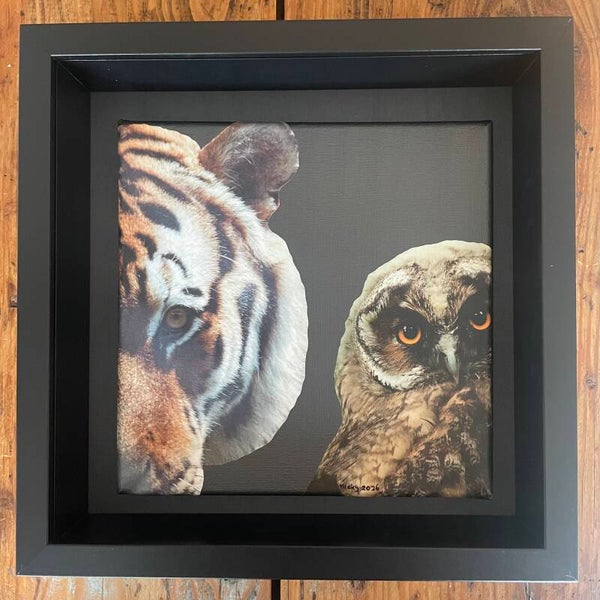 Wij zien je 20x20x1 cm incl. lijst 25x25x6 cm