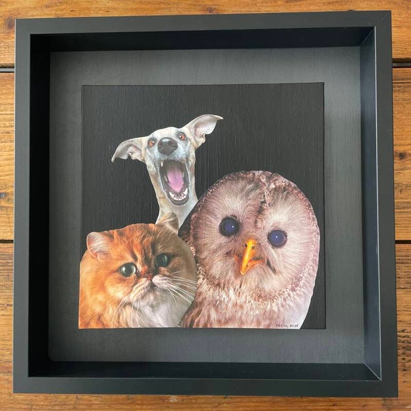 Photobomb 25x25x0,3 cm (zw) incl. lijst 35x35x6 cm