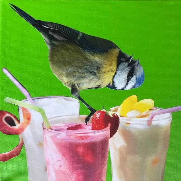Smoothie birdy 20x20x1 cm