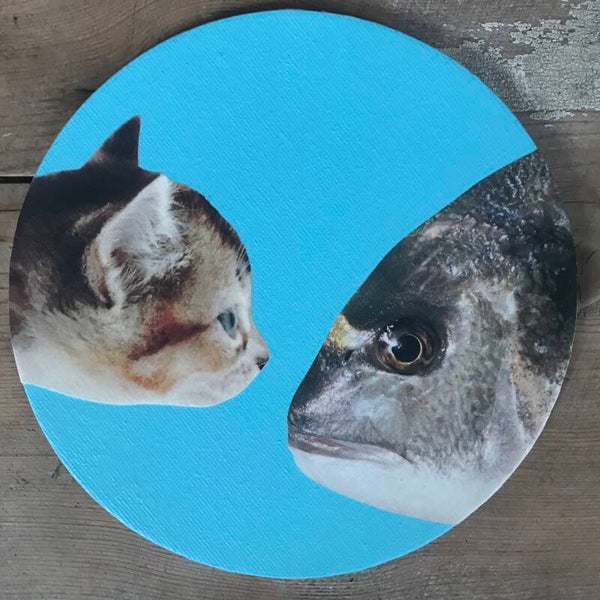 Staredown 15x0,3 cm rond