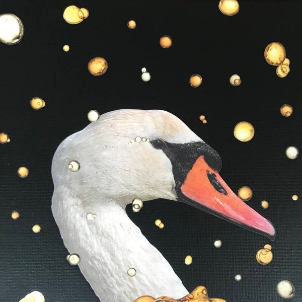 Swan lake 20x20x1 cm