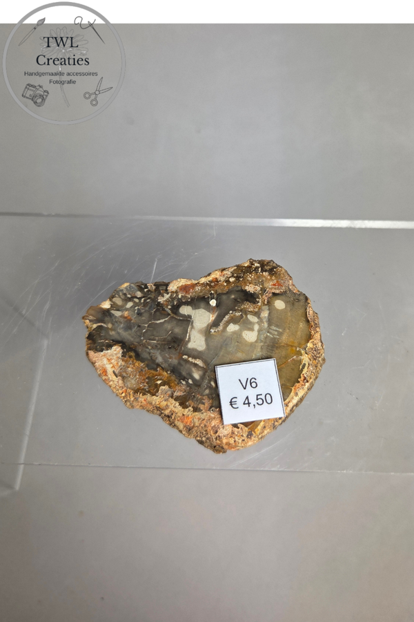 Versteend hout  (V6)