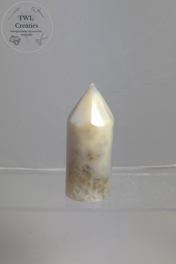 Agaat toren (AGT5)