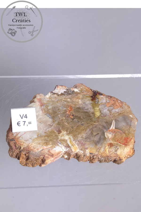 Versteend hout  (V4)