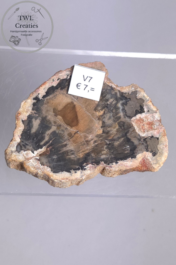 Versteend hout  (V7)