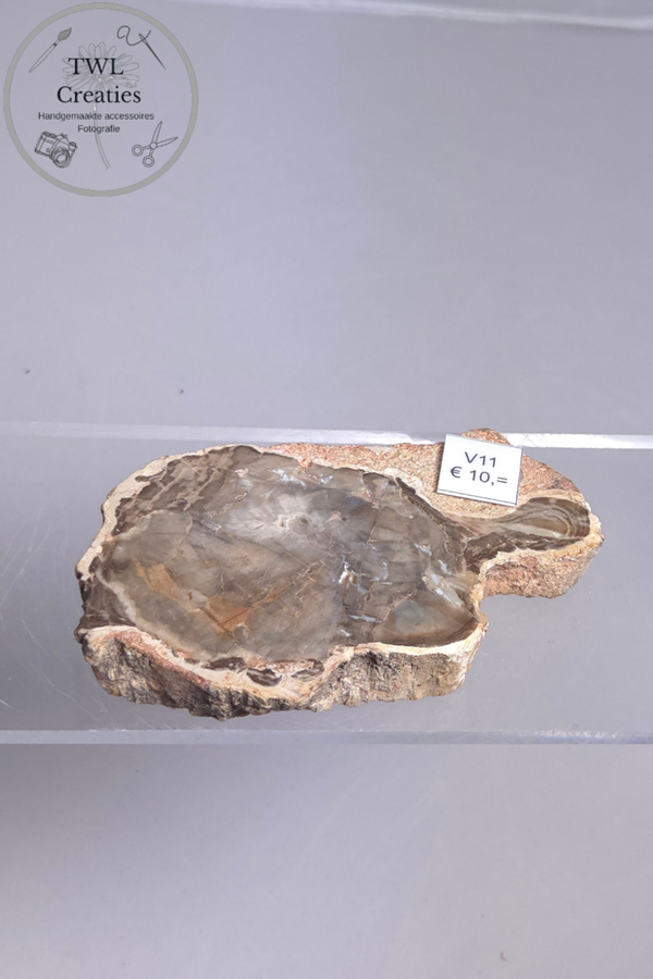 Versteend hout  (V11)
