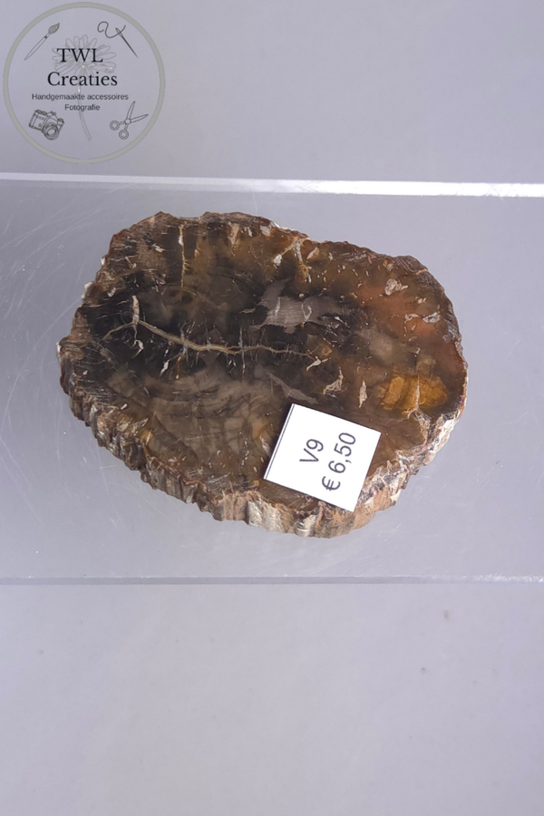 Versteend hout  (V9)