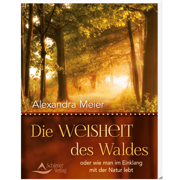 Die Weisheit des Waldes