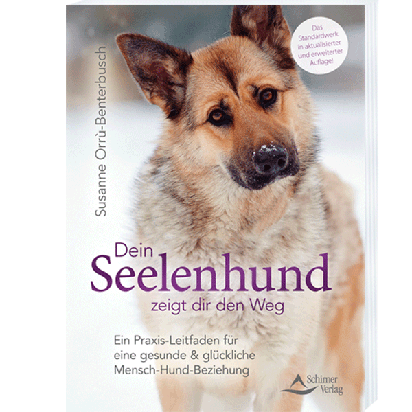 Dein Seelenhund zeigt dir den Weg