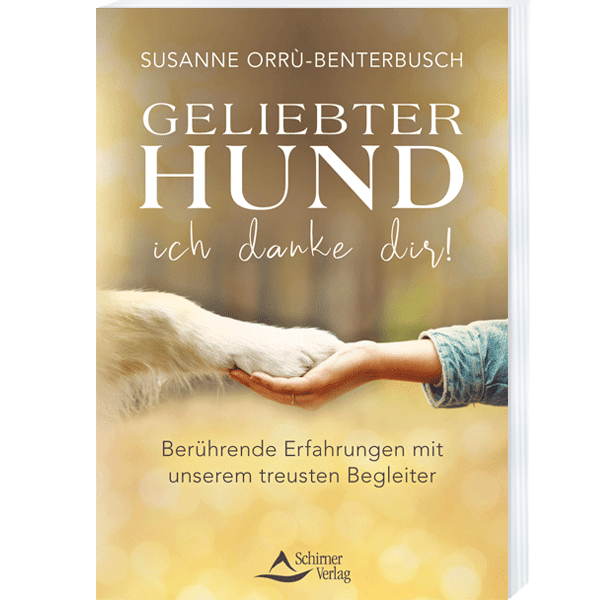 Geliebter Hund - ich danke dir!