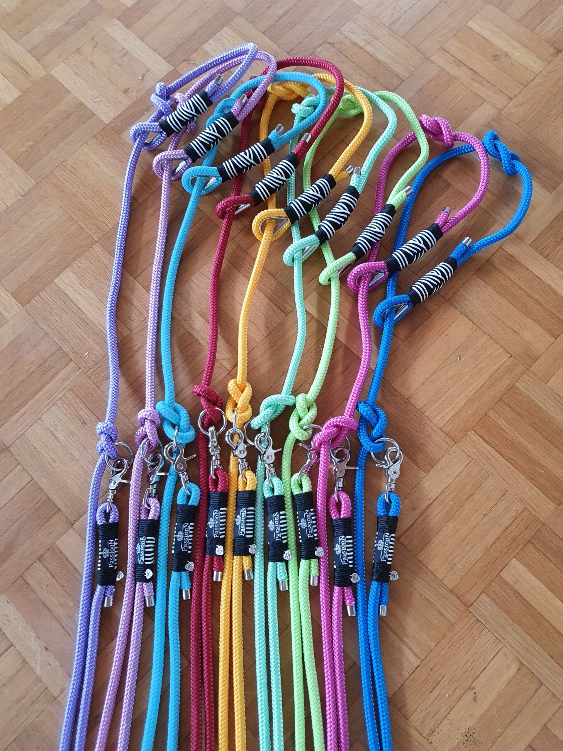 Welpen Set Retrieverleinen