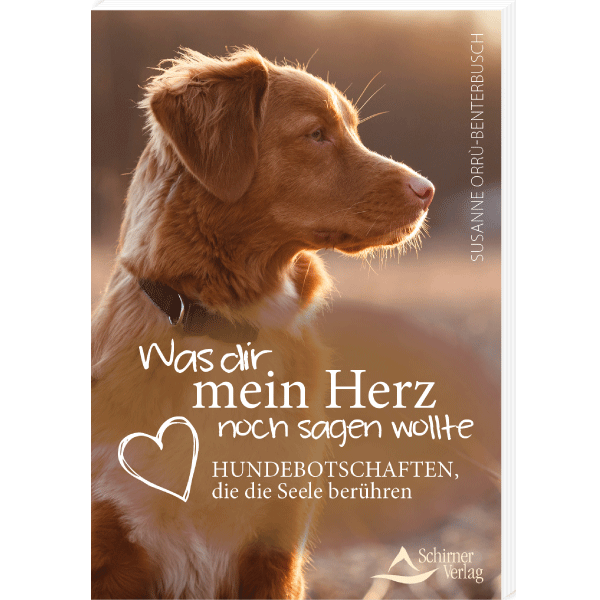 Was dir mein Herz noch sagen wollte