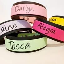 Biothane Halsband Double