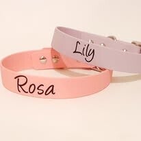 Biothane Halsband Single