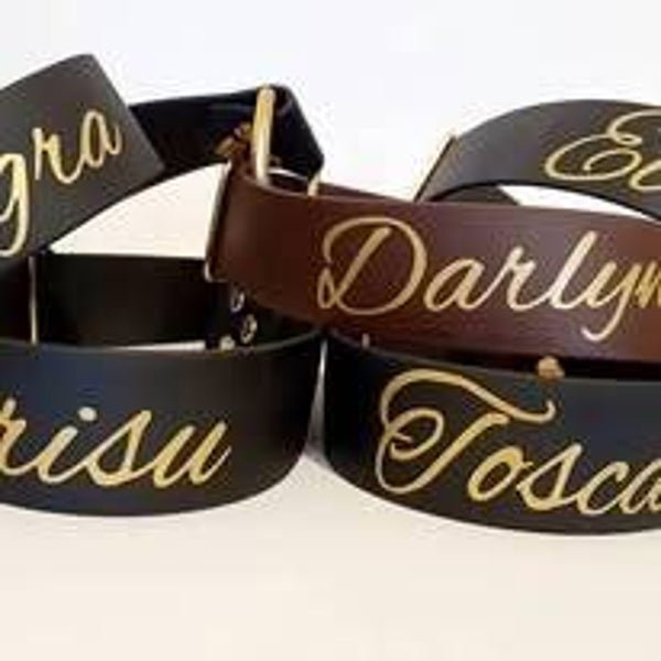 Biothane Halsband Single Zugstopp breit