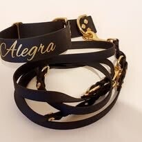 Biothane Führleine einfach