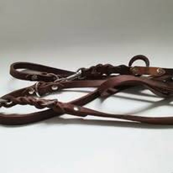 Fettleder Leine fest oder verstellbar