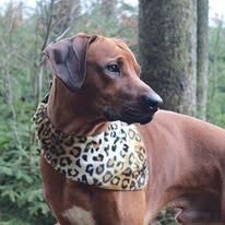 Halstuch Animal Print