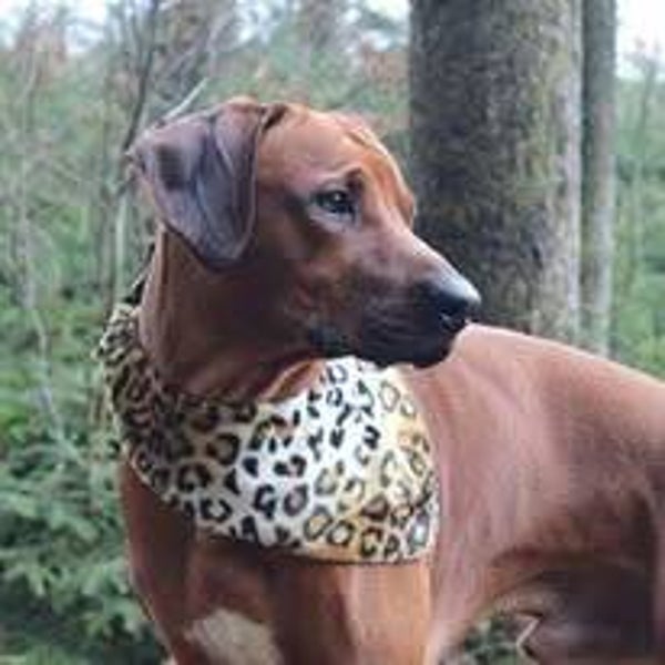 Halstuch Animal Print