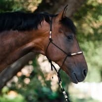 Knotenhalfter Burbery