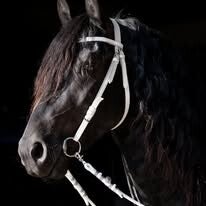 Langzügel | Doppellonge und Zügelsnaps