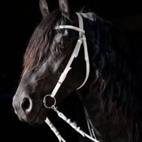 Langzügel | Doppellonge und Zügelsnaps