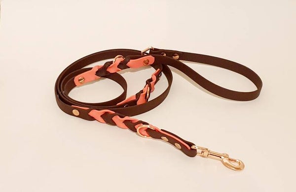 Zusatzoption Akzente für Halsband und Leine