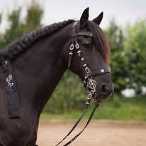 Mähnenschoner Upgrade Friese | PRE | Wunschname