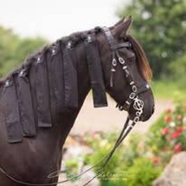 Mähnenschoner Klassik BW