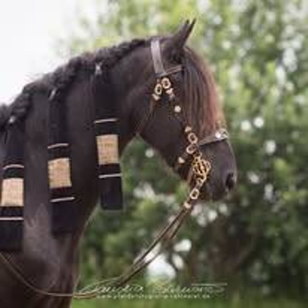 Mähnenschoner Barock Samt