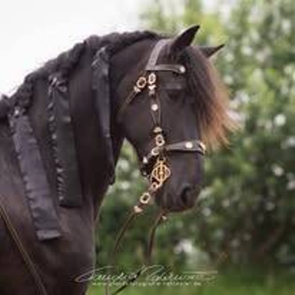 Mähnenschoner Klassik Satin 8er Set