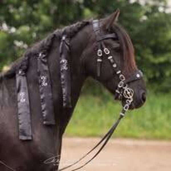 Mähnenschoner Upgrade Straßmotiv