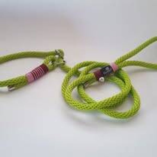 Retrieverleine einfach oder verstellbar