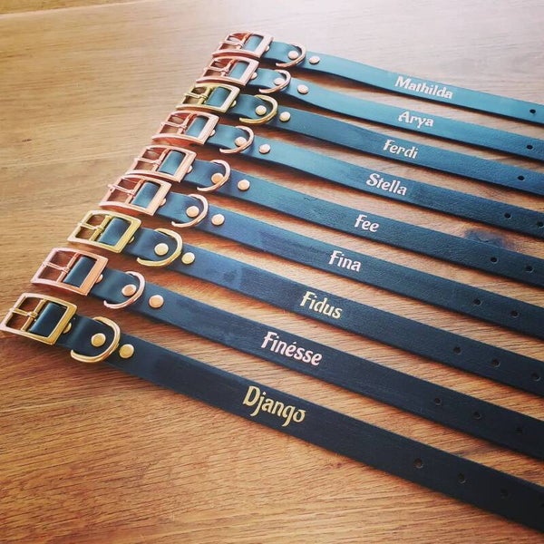 Welpen Set Halsbänder aus Biothane verstellbar