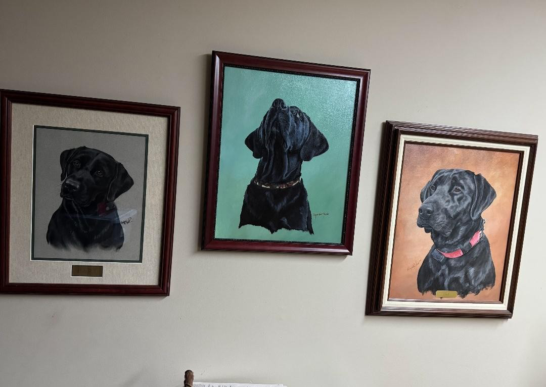dog portraits art elegance