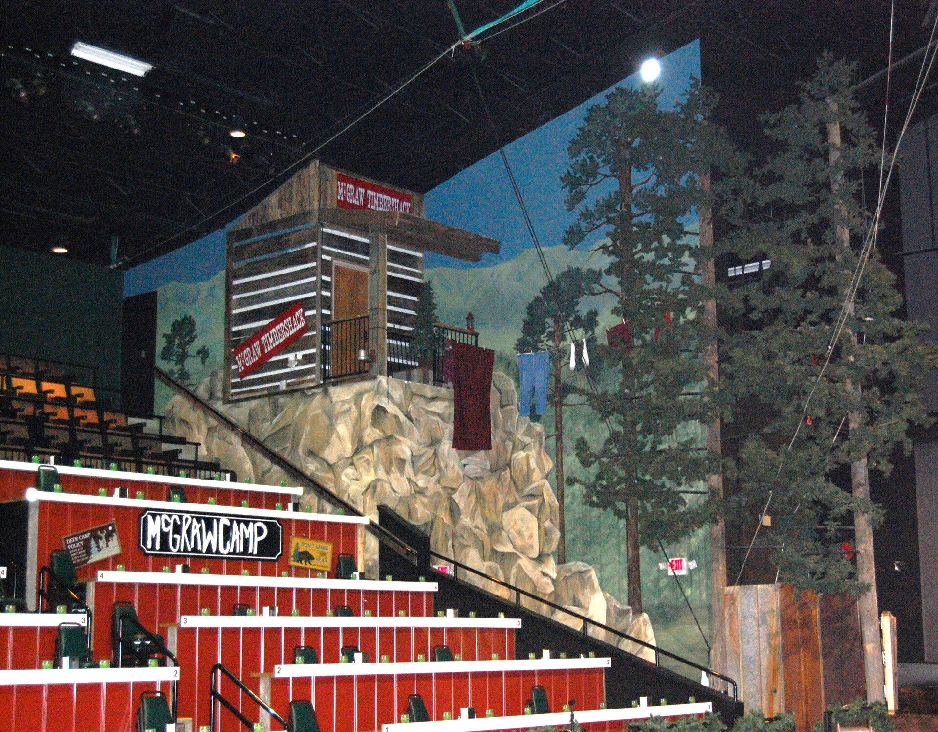 Large-scale commercial murals