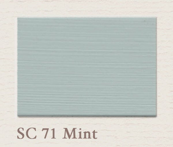 PTP Eggshell SC71. Mint
