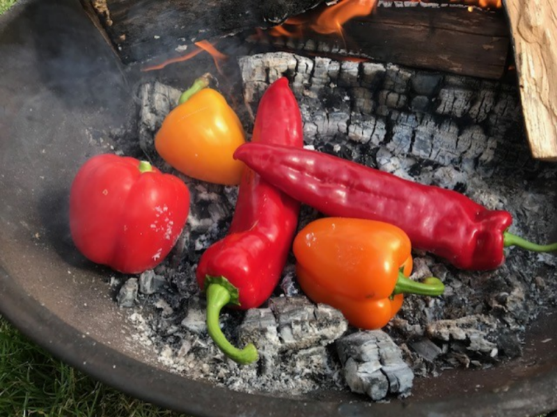 BuitenKennis - Vurige paprikasoep