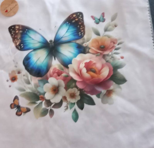 Brilpoetsdoek vlinder