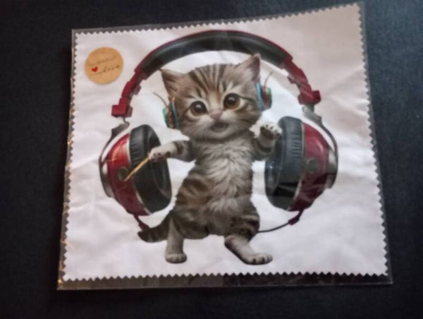 Brillendoekje muziekkat