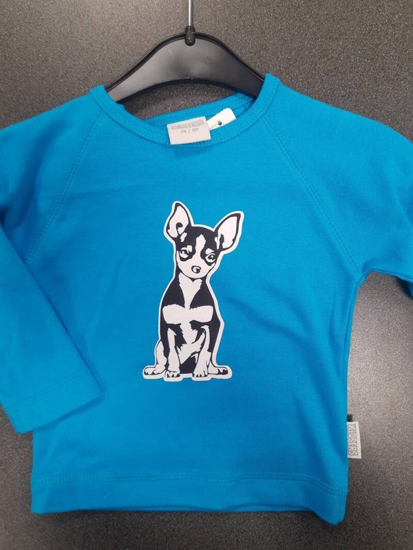 Longsleeve blauw 6 (74/80)