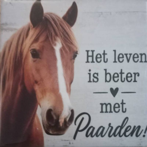 Paarden tegeltje