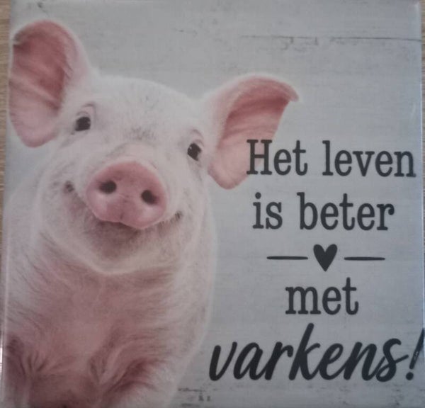 Varkens tegeltje
