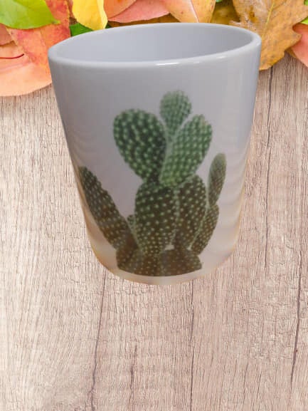 Mok Kak dus dat je gaat