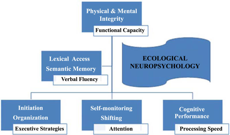 language plaza blog verbal fluency in Chinese speaking