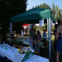 dsc03962-standard.jpg