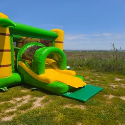 Sortie toboggan avec tapis de chute 