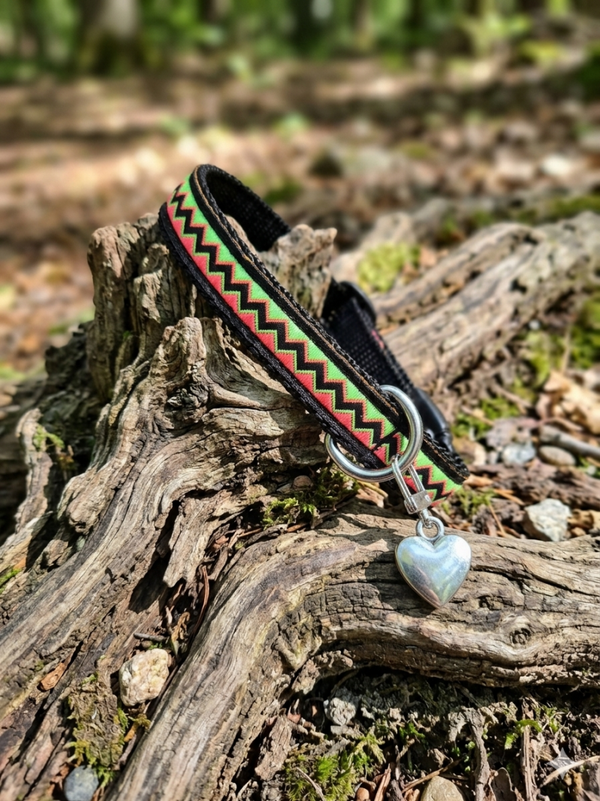 Hundehalsband Milo