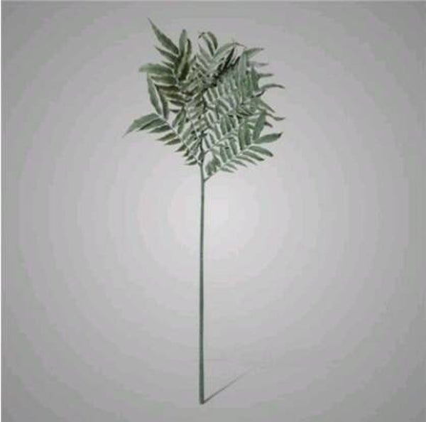 Fern Twig